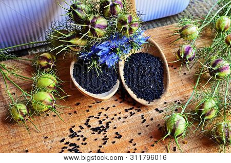 Black Cumin Field , Nigella Sativa.