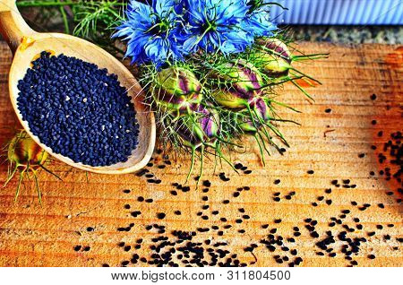 Black Cumin Field , Nigella Sativa.