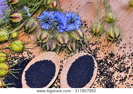Black Cumin Field , Nigella Sativa.