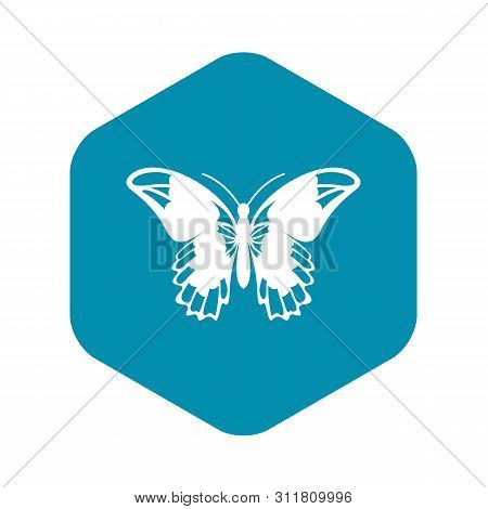 Admiral Butterfly Icon. Simple Illustration Of Admiral Butterfly Vector Icon For Web