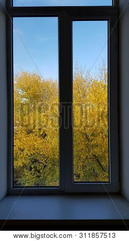 Double Framed Window With Autumn Golden Leaf Tree And Blue Sky Behind Window Glass. Fall Scene Looks