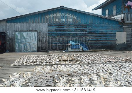 Dried Fish Farming
