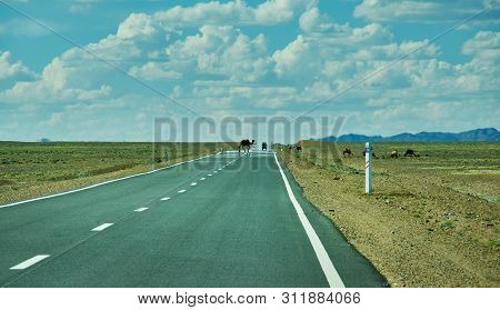 Road In Gobi Desert