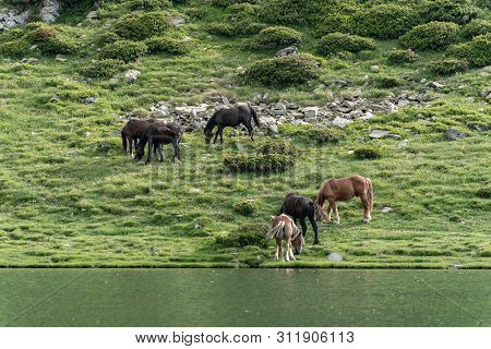Landscape Of The Parc Natural De La Vall De Sorteny, Pyrenees, Andorra.