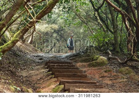 A Young Traveler In The Relic Forest. Slopes Of The Ancient Anaga Mountain Range On The Island Of Te
