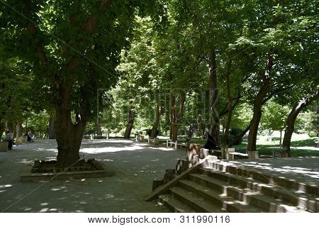 The View Of Eram Garden(bāgh-e Eram), Shiraz, Iran