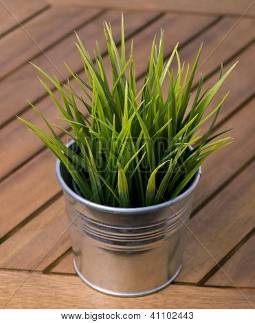 flower pot with grass