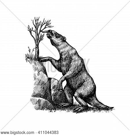 Ground Sloth Or Megatheriidae. Prehistoric Mammals. Extinct Animal. Vintage Retro Vector Illustratio