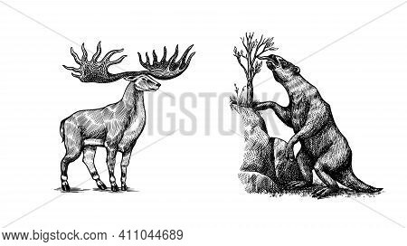 Irish Elk Or Giant Deer And Ground Sloth Or Megatheriidae And Great Horn. Prehistoric Mammals. Extin