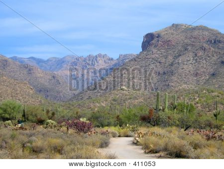 Sabino Canyon iz