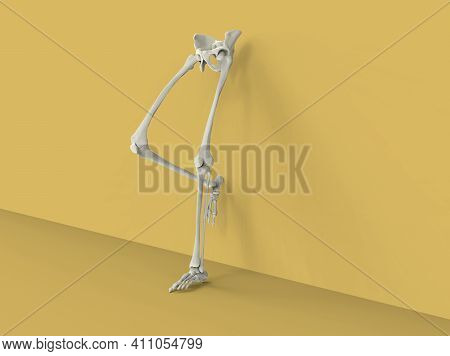 Model Of Human Legs And Hips On Yellow Background, 3d Render