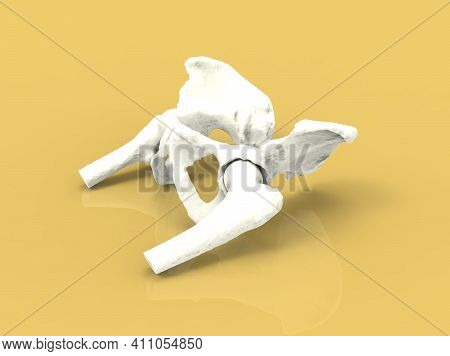 Model Of Human Legs And Hips On Yellow Background, 3d Render