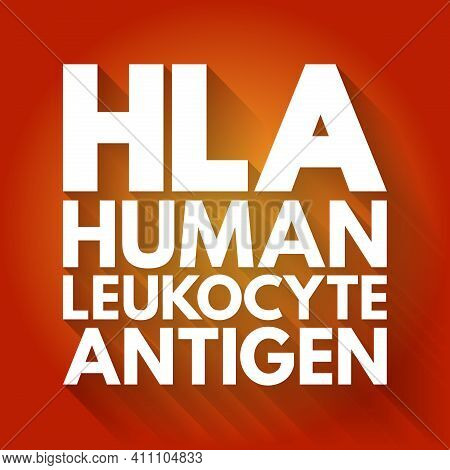 Hla - Human Leukocyte Antigen Acronym, Medical Concept Background