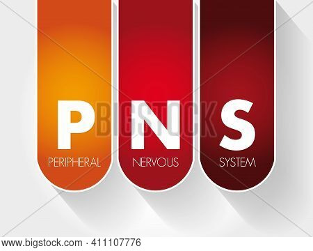 Pns - Peripheral Nervous System Acronym, Medical Concept Background