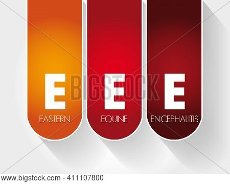 Eee - Eastern Equine Encephalitis Acronym, Medical Concept Background