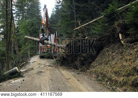 Loading Of Wood Onto The Rail