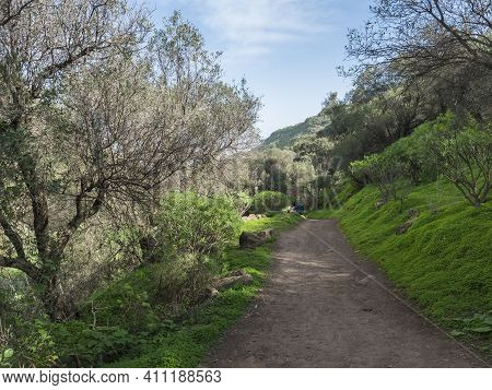 Footpath Through Lush Landscape Of Barranco De Los Cernicalos With Man Hiker Figure In The Distance.