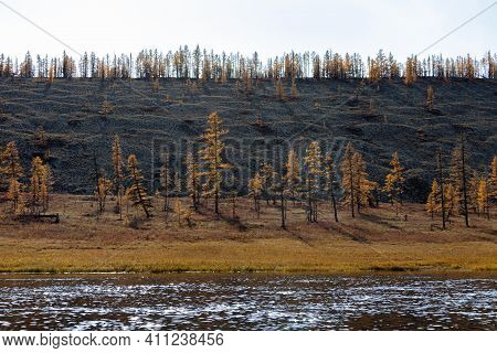 Coast Of The Wild Siberian Taiga River With Mounds Of Glacial Erosion. Traces Of Permafrost Melting 