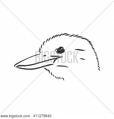 Black Outlined Kookaburra Bird-vector Drawing, Kookaburra Vector Sketch Illustration On White Backgr