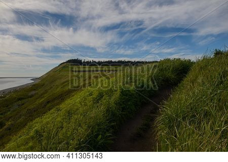 Cliff Landscape From Ebey's Landing, Coupville, Washington.