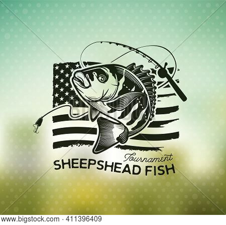 Vintage Sheepshead Fish Emblems. And Labels. Vector Illustration.