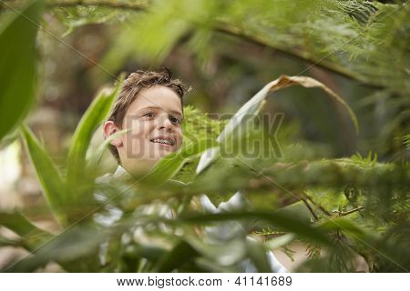 Adolescente no meio de plantas na floresta