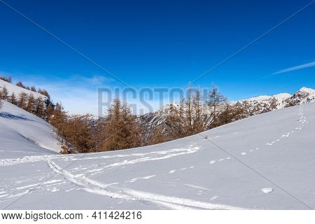 Mountain Range Of The Monte Carega In Winter With Snow, Called Small Dolomites (piccole Dolomiti) Fr