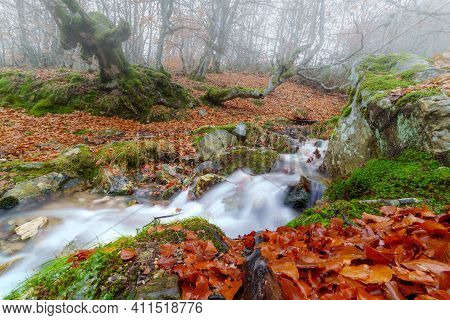 Beech Landscape In Autumn With Creek Going Down The Mountain And Long Exposure Photography. Somosier