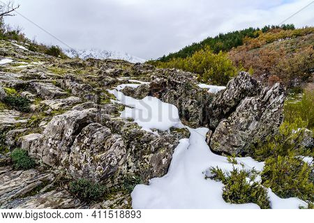 Autumn Landscape With Snow, Path Of Fallen Leaves From Trees And Snowy Mountains. Tejera Negra Park.