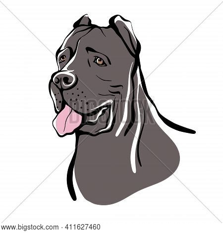 Cane Corso Sketch. Portrait Of A Dog Of The Cane Corso Breed. Vector Illustration