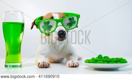 Dog With A Mug Of Green Beer And Glazed Nuts In Funny Glasses On A White Background. Jack Russell Te