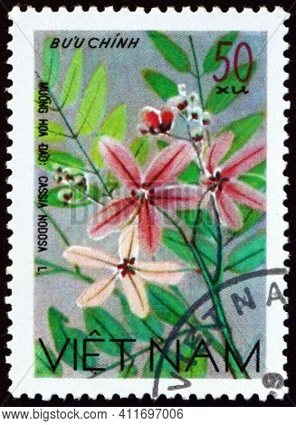 Vietnam - Circa 1977: A Stamp Printed In Vietnam Shows Cassia Javanica, Cassia Nodosa, Is A Species 