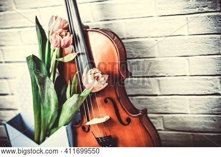 Close Up Acoustic Volin And Pink Tulip Flowers On Brikwall Background.