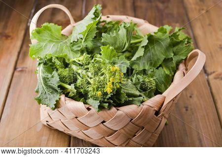 Raw Organic Turnip Greens Ready To Eat On A Brown Wooden Background . Basket With Fresh Green Vegeta
