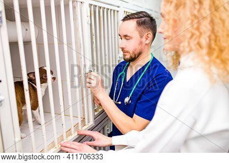 Happy Young Blonde Curly Woman At Dog Shelter Adopting A Dog