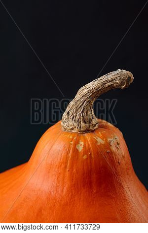 Teksture Of Orange Pumpkin On The Orange Background