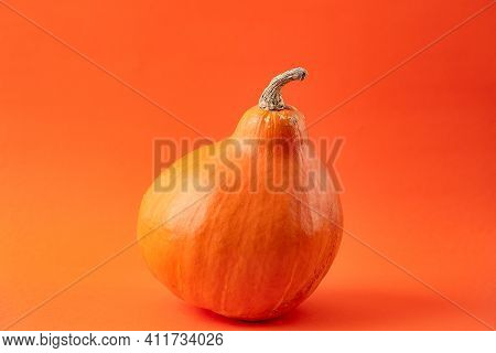 Teksture Of Orange Pumpkin On The Orange Background