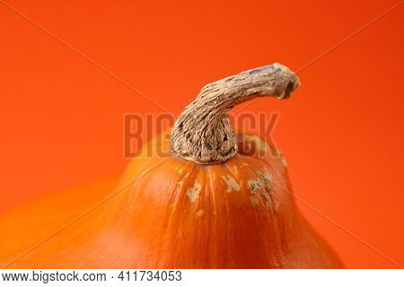 Teksture Of Orange Pumpkin On The Orange Background