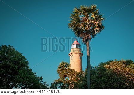 View Of Lighthouse With Palmyra Palm Tree In Foreground, Mahabalipuram, Tamil Nadu, India. Mahabalip