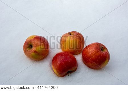 Red Apples In The Snow