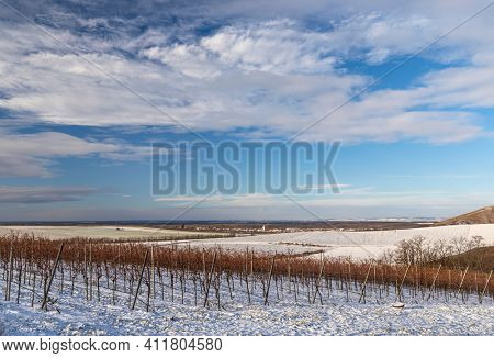 Winter landscape near Popice, Southern Moravia, Czech Republic