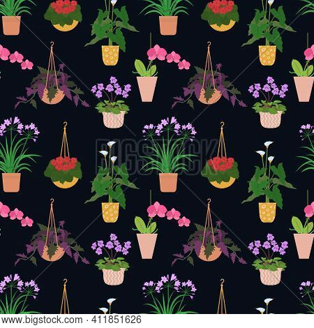 Seamless Pattern From Different Potted House Plants In Colorful Flower Pots, Orchid And Begonia.