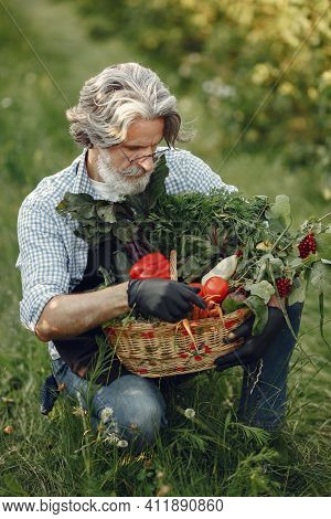 Senior With Box Vegetables Garden Background Sunse