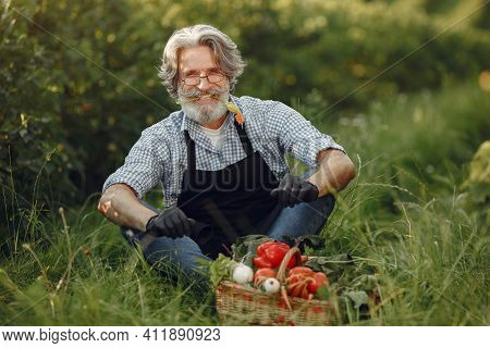 Senior With Box Vegetables Garden Background Sunse
