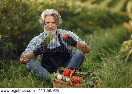 Senior With Box Vegetables Garden Background Sunse