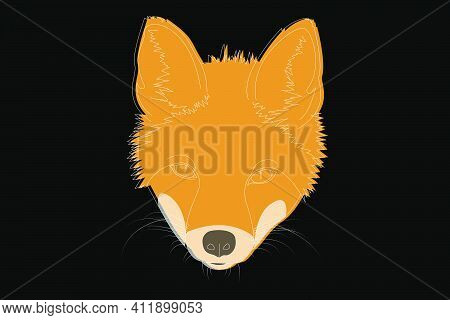 Fox Drawing. Fox Head Full Face. Simple Linear Drawing Of A Fox. Wild Animal
