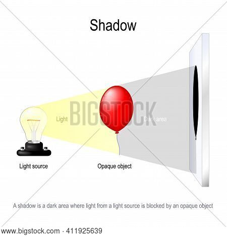 Shadow Is A Dark Area Where Light From A Light Source Is Blocked By An Opaque Object. Experiment Wit