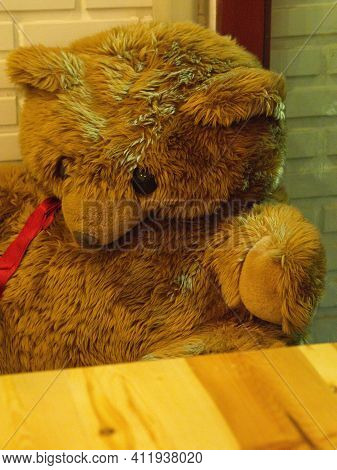 Big Brown Teddy Bear Doll Sitting And Waiting For Food.
