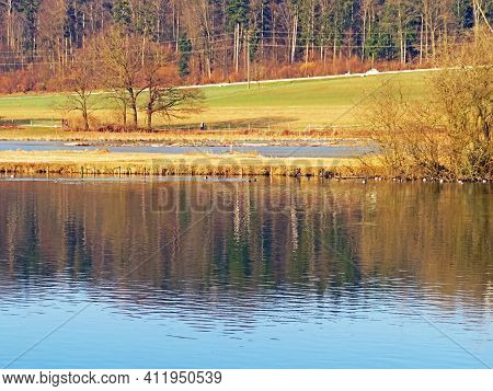 Flach Lake Or Flachsee In The Natural Protection Zone Aargau Reuss River Plain (naturschutzzone Aarg