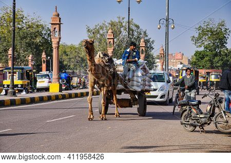 Bikaner, India - Dec 29, 2019: Camel Carts Transporting Goods In Bikaner's Market. Bikaner, Rajastha